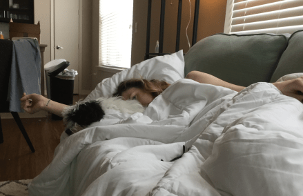 screen-shot-2017-01-11-at-6-21-50-pm